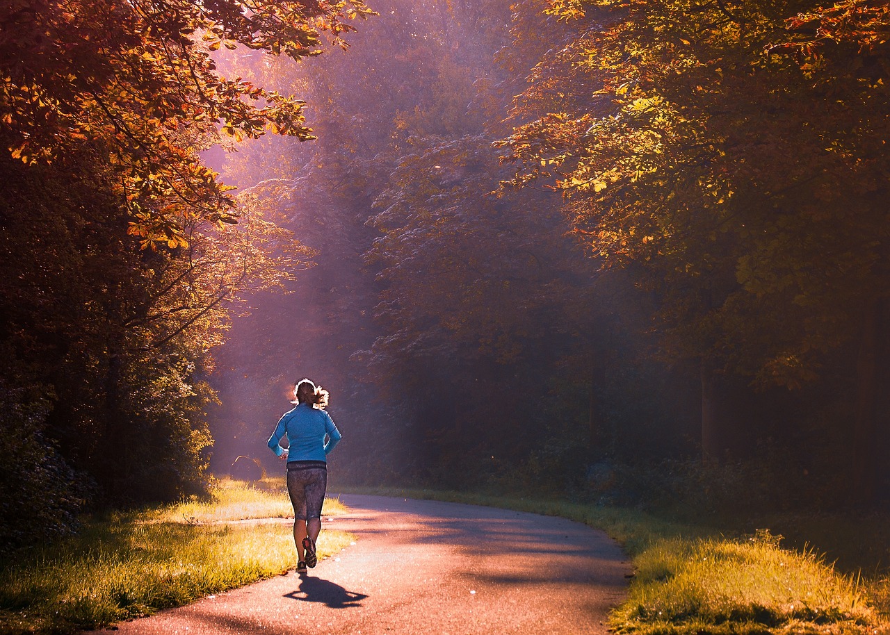 Herz-Kreislauf-Training